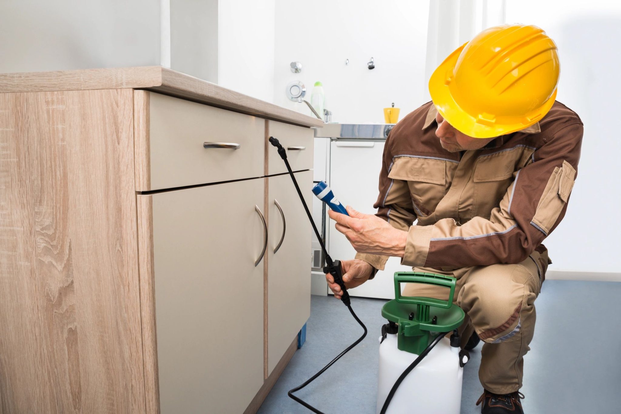 Exterminator spraying cabinets as part of pest control services