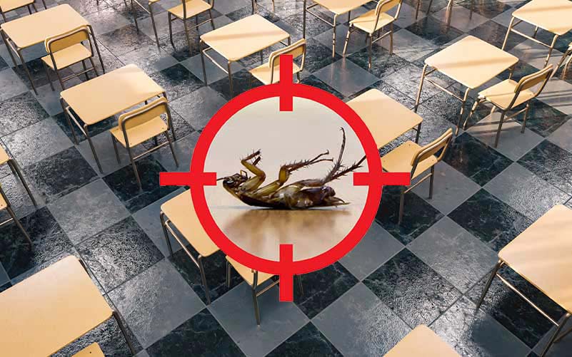 Background: Student desks in an empty classroom; Foreground: a dead cockroach inside a target sight