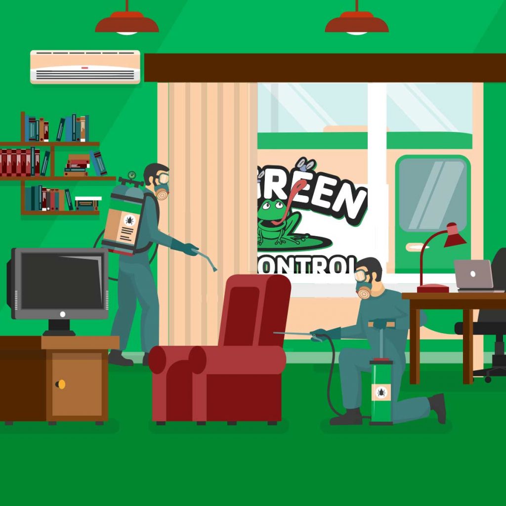 Illustration of two exterminators spraying walls and furniture in a residential environment. Outside, through the window, you can see part of a Go Green Pest Control service truck.