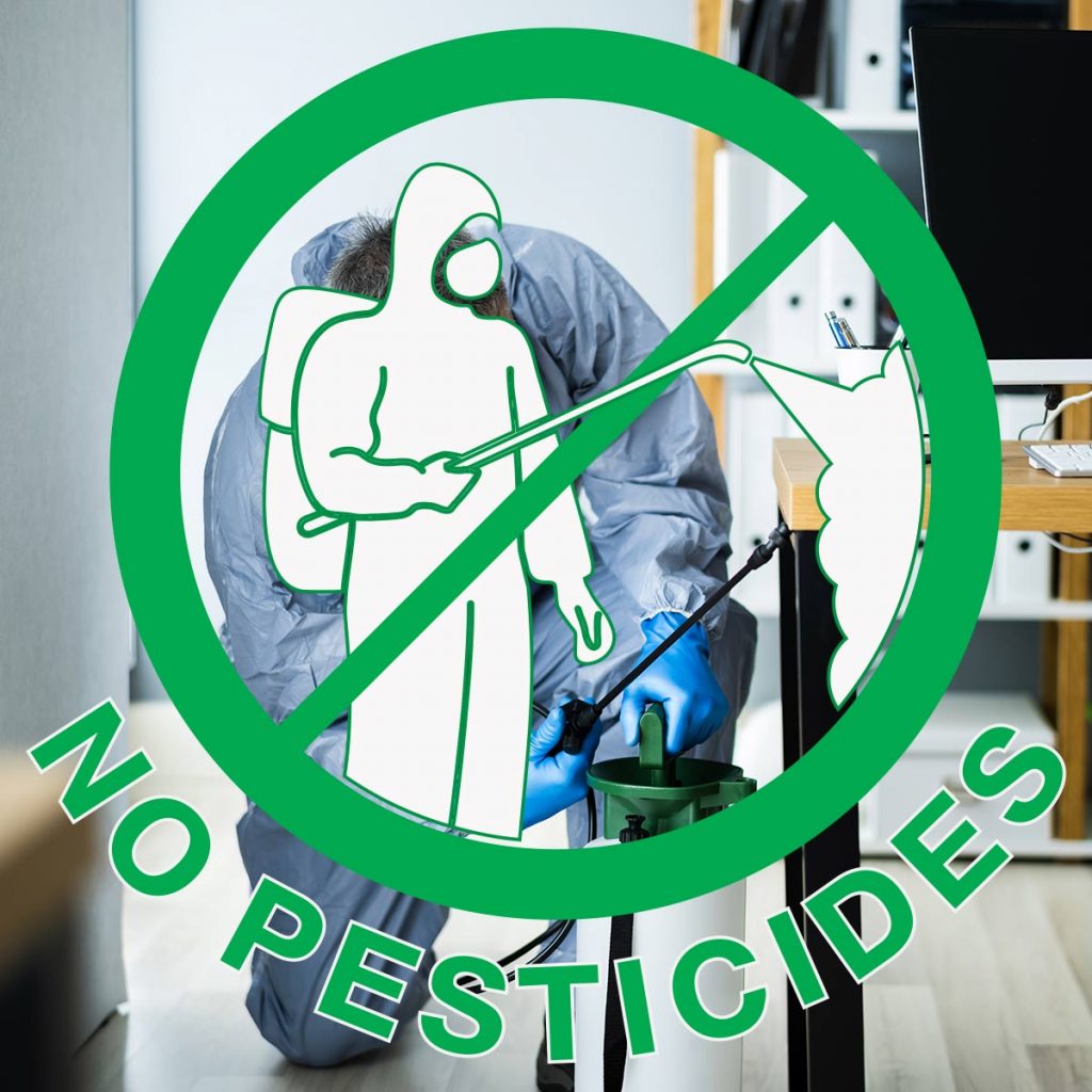 Background: Exterminator spraying pesticides under a desk; Foreground: a prohibited symbol with an exterminator spraying pesticides, underneath says "No Pesticides"