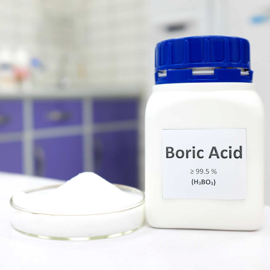 A kitchen countertop with a container of boric acid next to a dish containing a large portion of boric acid