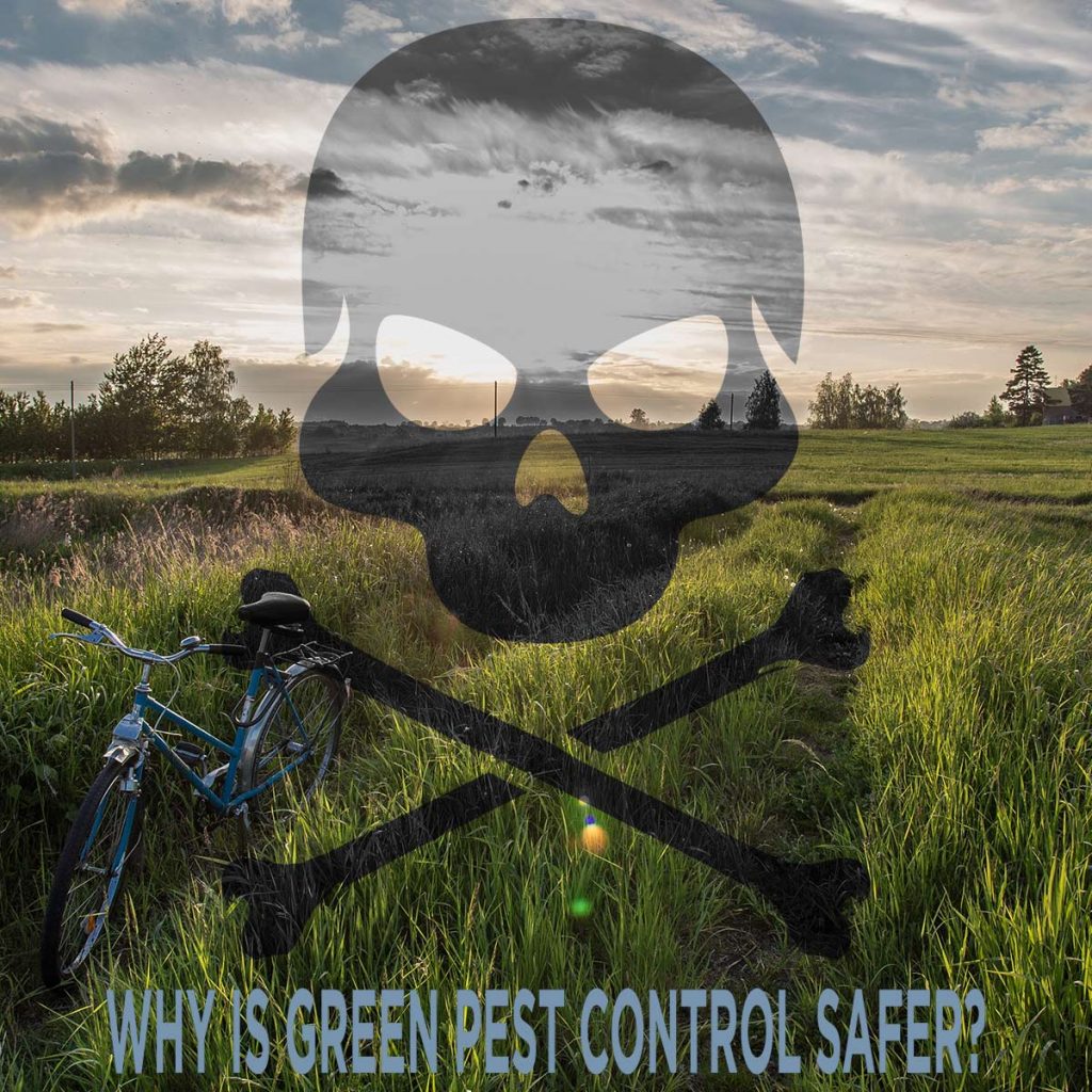 Why Is Green Pest Control Safer?